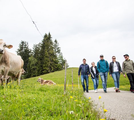 AB3 Kollegen beim Wandern in den Alpen mit Kühen